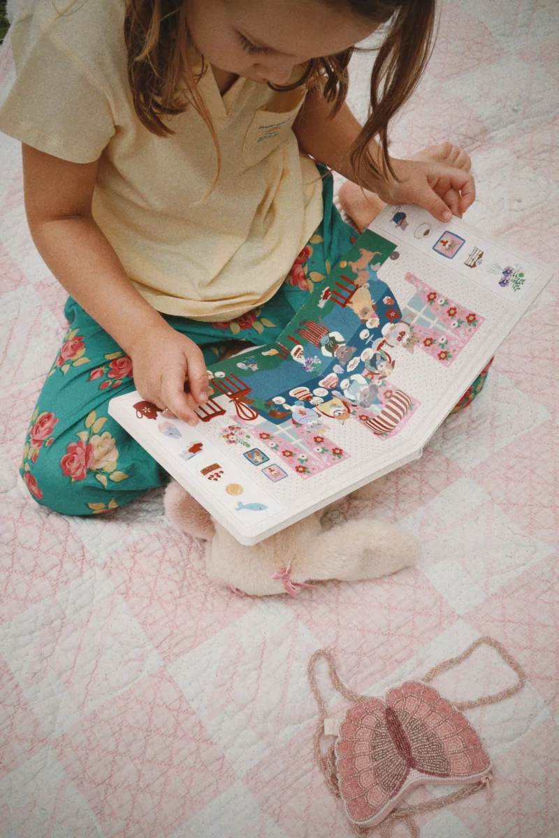 SEEK AND FIND BOOK – multi