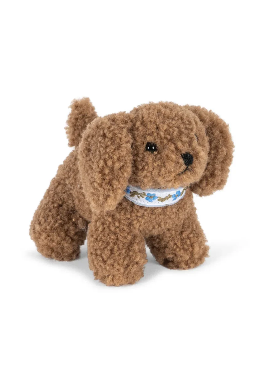 Welpe – dog